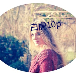 白虎10p