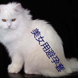 美女用避孕套 （颈联）