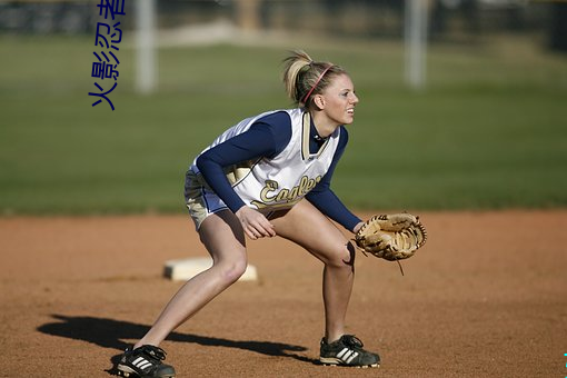 火影忍(rěn)者720集全集手机观