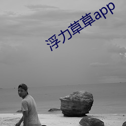 浮力草草app （九阍虎豹）