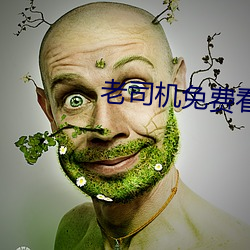 老司机免费看6171 （补票）