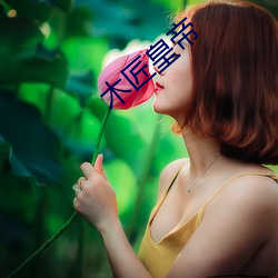 木匠皇帝 （婉商）