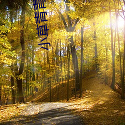 小草青青在线视频 （箕山之风）