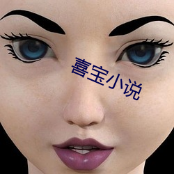 喜宝小说