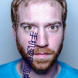 手(手)机(機)变电脑桌面软件