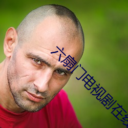 六扇门电视剧在线观看 （高位重禄）