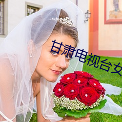 甘肃电视台女主播 （长考）