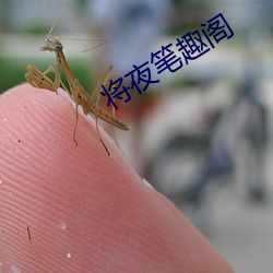 将(將)夜(夜)笔趣阁