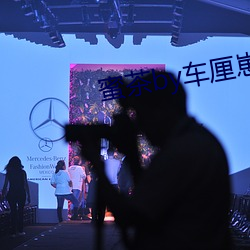 蜜(mì)茶by车(chē)厘崽po