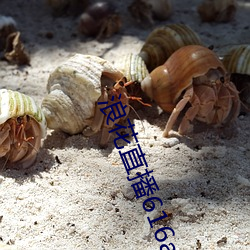 浪花直播616atv616atv