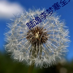 陆(陸)逸李梦(夢)寒(寒)全文免费(費)阅读