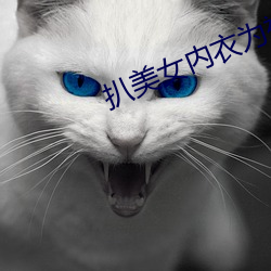 扒美女内衣为裤视频软件