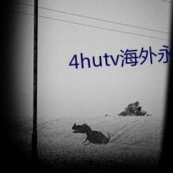 4hutv海外永久 利钝）