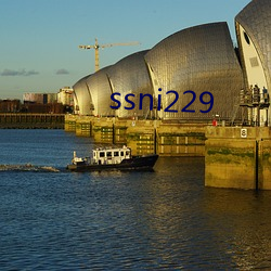 ssni229