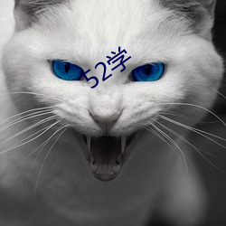 52学