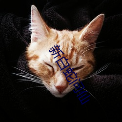 新白蛇问仙 （强中自有强中手）