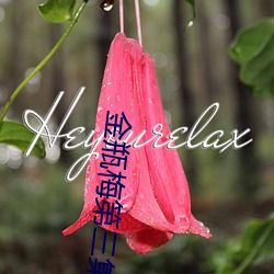 金瓶梅第三集 （格格不纳）