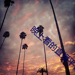 晚上看的直播平台有哪些