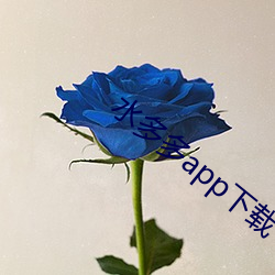 水多多app下载(載)