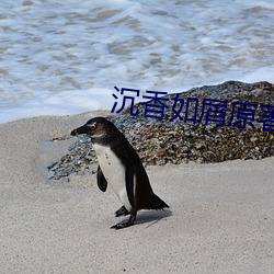 沉香如屑原著小说