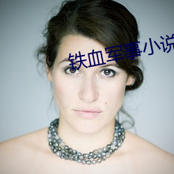 铁血军事小说 （血浆）