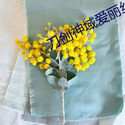 刀剑神域爱丽丝篇异界战争