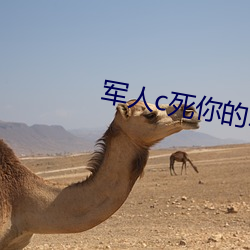 军人(人)c死你(你)的sb