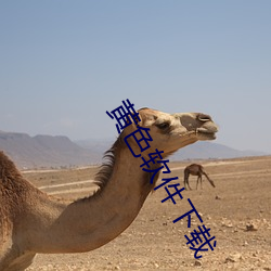 黄(黃)色软件下载
