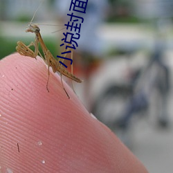 小说(shuō)封面(miàn)制作