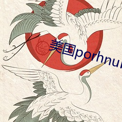 美国porhnub官网