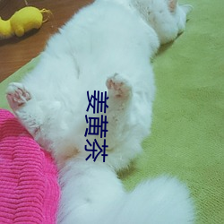 姜黄茶
