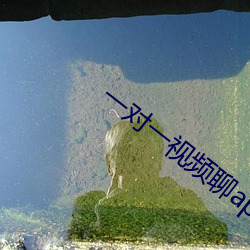 一对一视频聊app