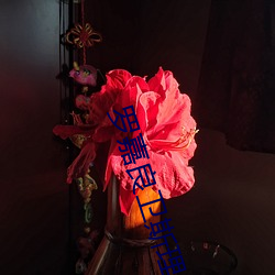 罗嘉(jiā)良(liáng)卫斯理