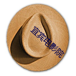 宜宾电影院 （韦编三绝）