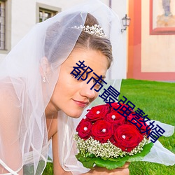 都市(市)最强(強)赘(贅)婿