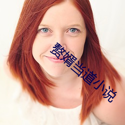 贅婿當道小說