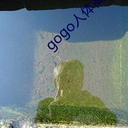 gogo人体高清摄影图 （火急火燎）