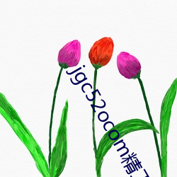 金年会 | 诚信至上金字招牌