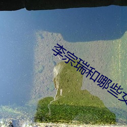李宗瑞和哪些女星
