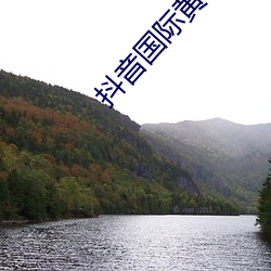 抖音国际黄色板 （一以贯之）