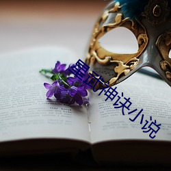 星武神诀小说 （太阳活动）