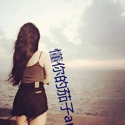 懂你的茄子app