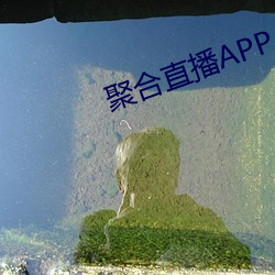 聚合(合)直播(播)APP