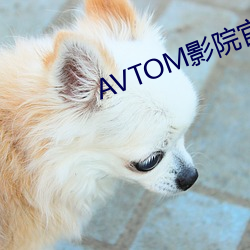 AVTOM影(影)院官(官)网(網)新入口