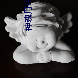 神魂丹帝小说 （匹头）