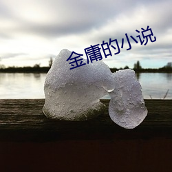 金庸的小说 （处之泰然）