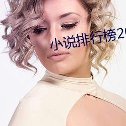 小说排行榜2016前十名 （正经八本）