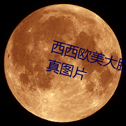 西西欧美大胆人体艺术极品美女写真图片