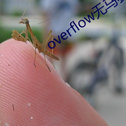 overflow无马赛版