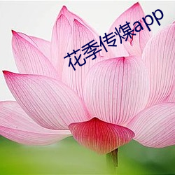 花季傳煤app